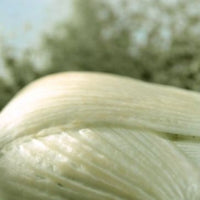Fennel Featured Ingredient - L'Occitane