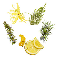 Volume_Strength Featured Ingredient - L'Occitane